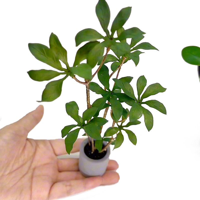 1:6 миниатюрный кукольный доми – обзор и цена Bonsai Garden Pot