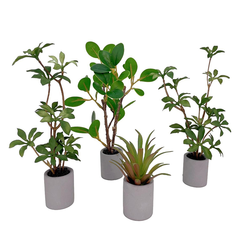 1:6 кукольный домик, миниатюрн – обзор и цена Bonsai Garden Plants