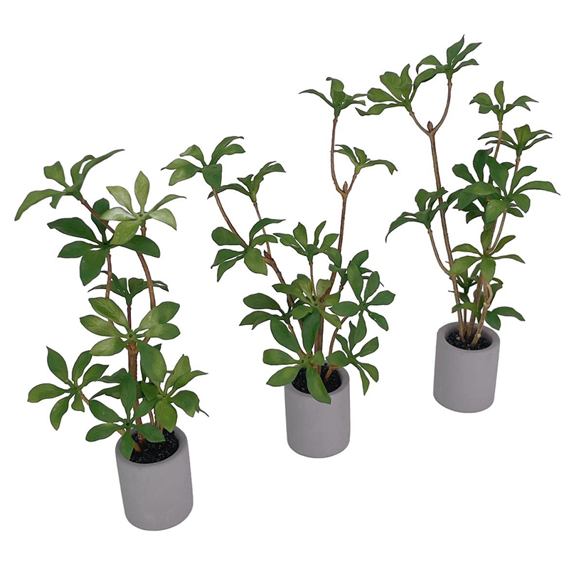 1:6 кукольный домик, миниатюрн – обзор и цена Bonsai Garden Plants