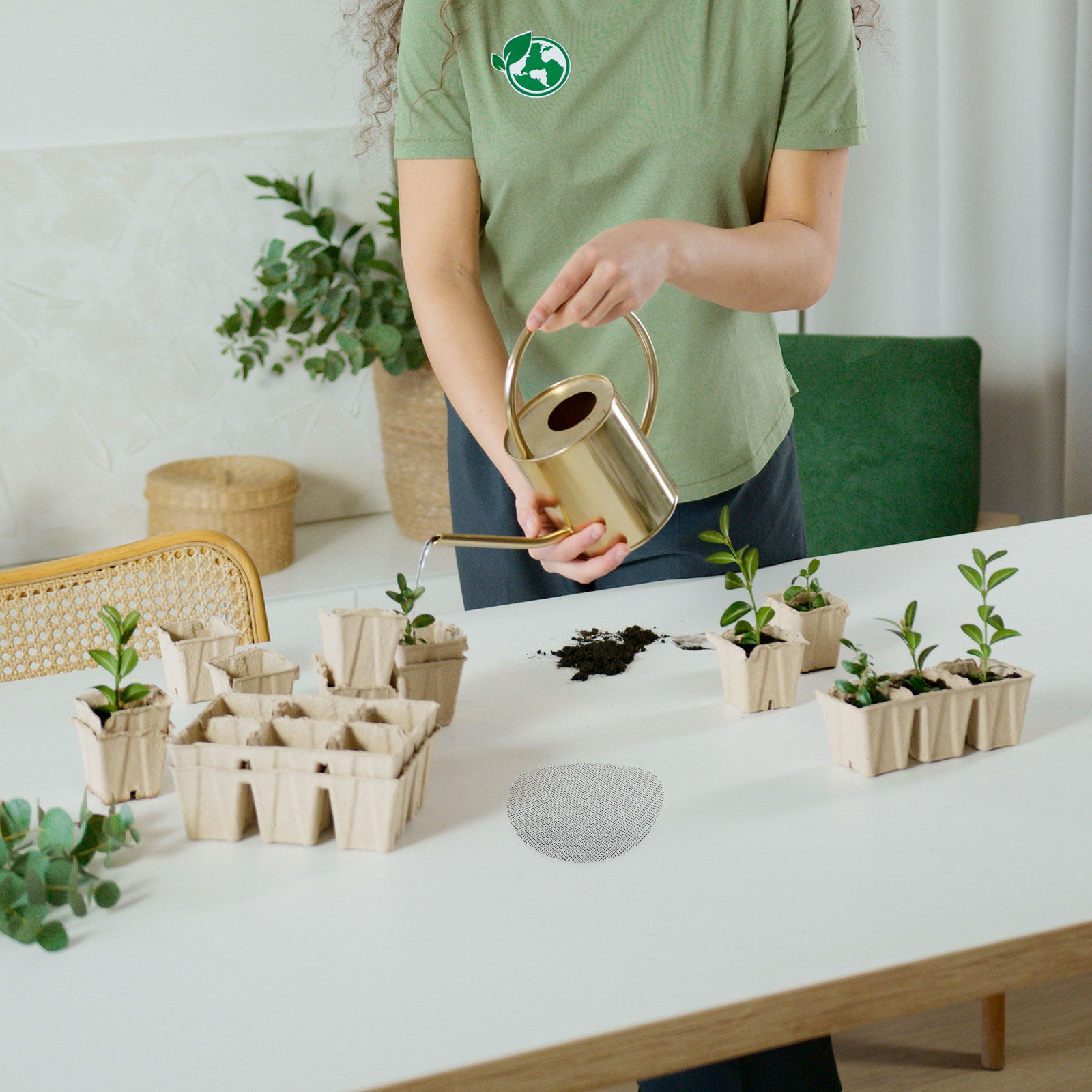 50 шт. круглых пластиковых сет – обзор и цена Bonsai Garden Pot