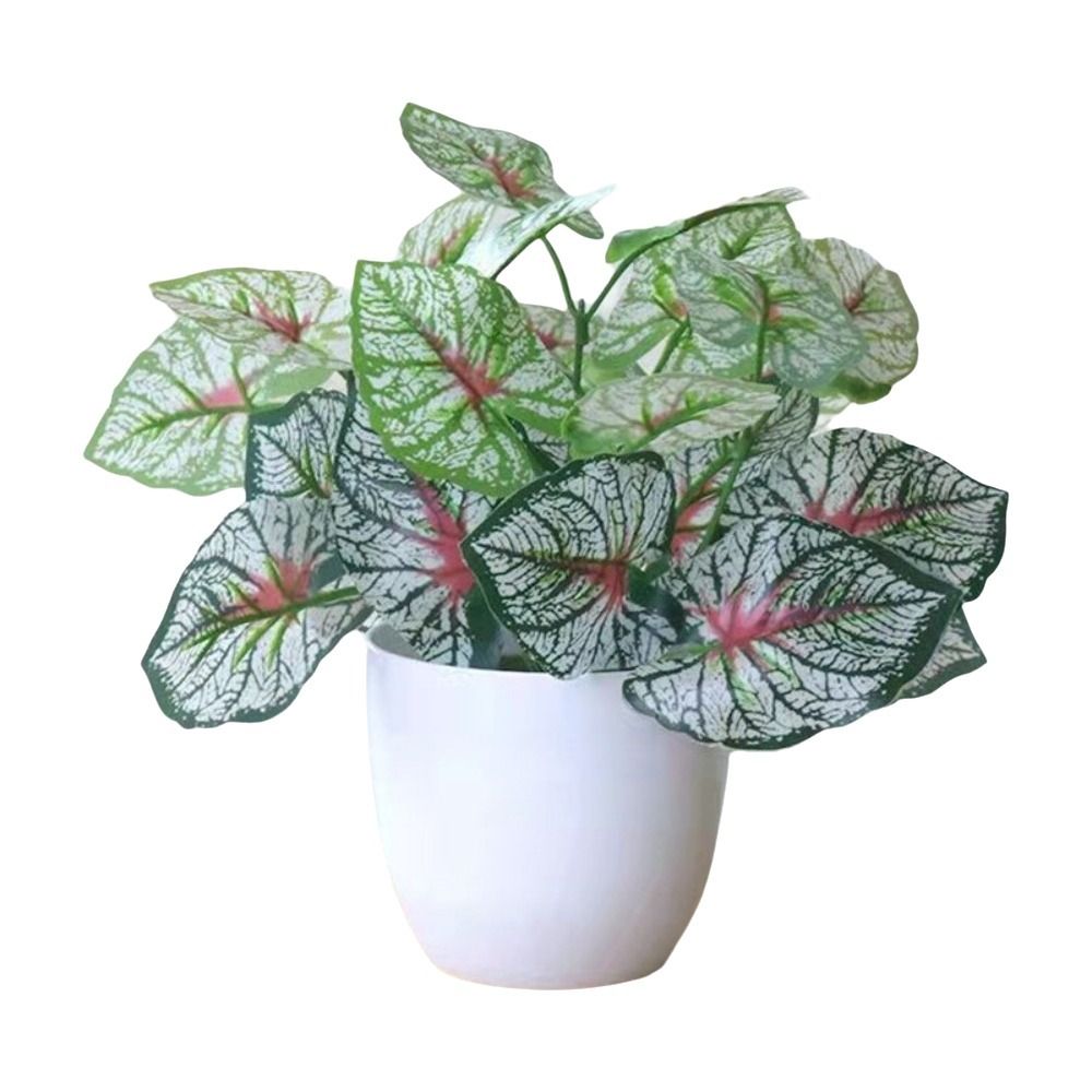 Миниатюрные искусственные цвет – обзор и цена Bonsai Gardenia