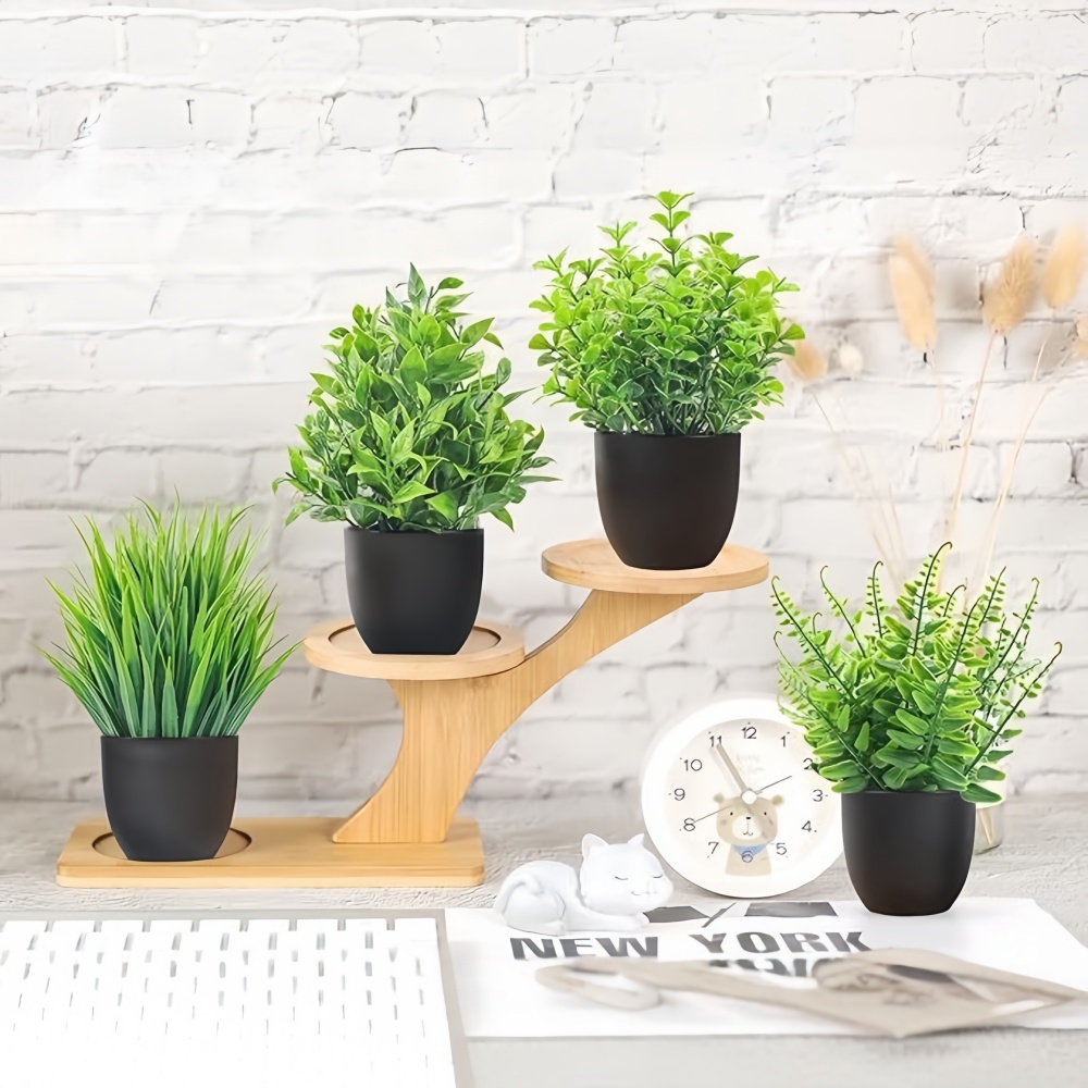 Набор из 4 миниатюрных искусст – обзор и цена Bonsai Gardenia