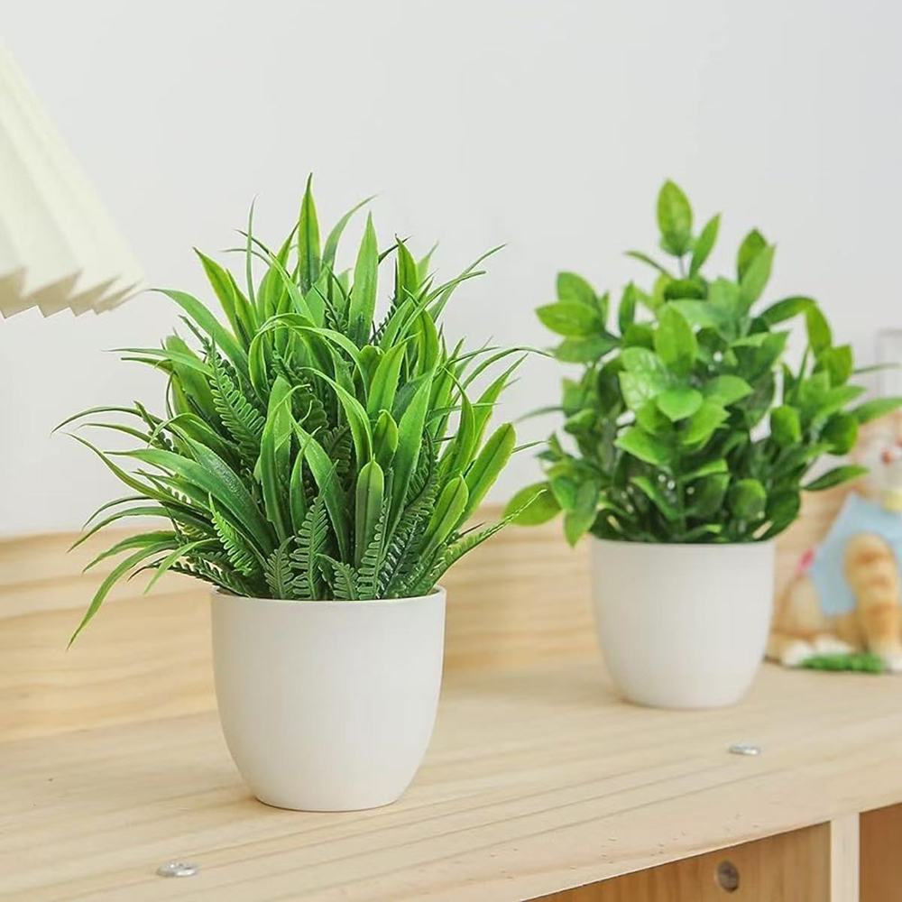 Набор из 4 миниатюрных искусст – обзор и цена Bonsai Gardenia