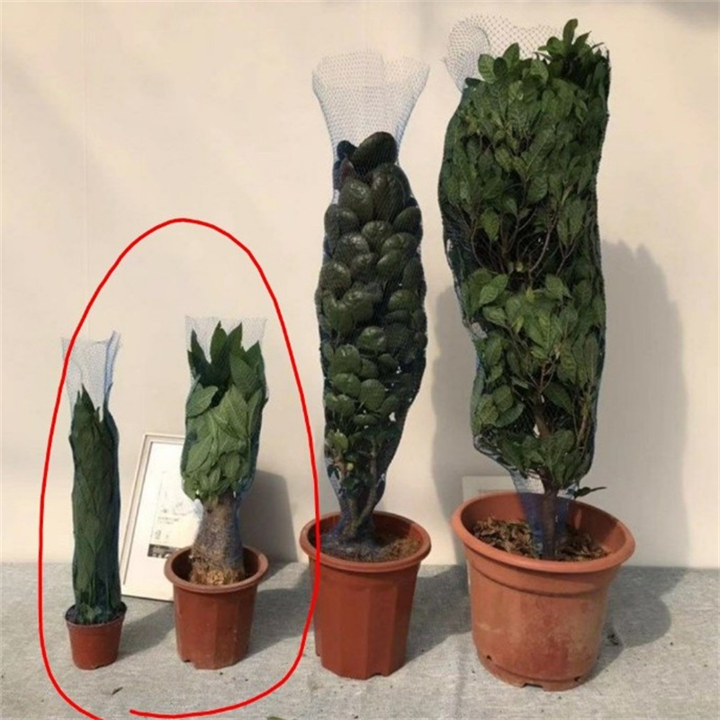 10 м 30 м 50 м Защитная сетка  – обзор и цена Bonsai Garden Pot
